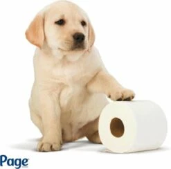 Page Toiletpapier - Eco - Duurzaam - 24 Rollen - Voordeelverpakking -Levensproducten 1200x1186 3