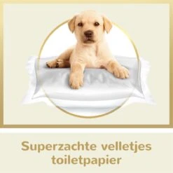 Page Puur Toiletpapier - 24 Rollen - Extra Duurzaam Wc Papier - Voordeelverpakking -Levensproducten 1200x1200 815