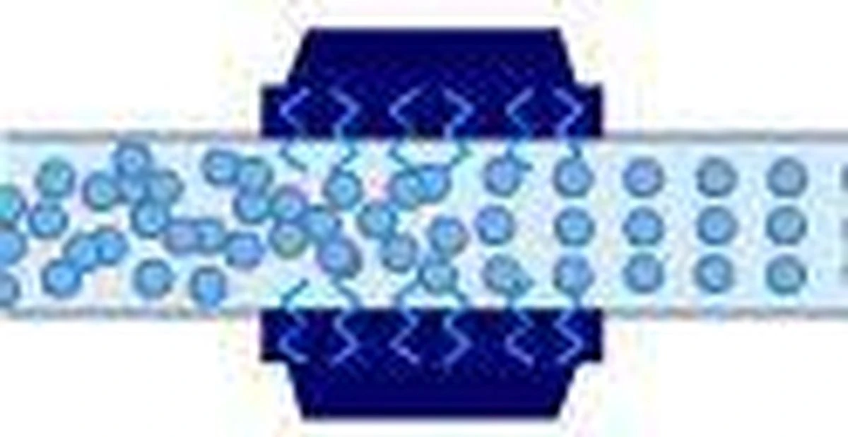 Alpine® Hét Waterontharder Alternatief All-in-one XL Antikalk Magneet Voor Koper En Kunststof Leidingen 20.000 Gauss - Energiebesparing - Energie Besparen - Gas Besparen 4 Alpine® Hét Waterontharder Alternatief All-in-one XL Antikalk Magneet Voor Koper En Kunststof Leidingen 20.000 Gauss - Energiebesparing - Energie Besparen - Gas Besparen - Afbeelding 4