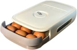 EGG BOX Wit Ei Opbergbox Eierhouder Eierdoos Koelkast Organizer